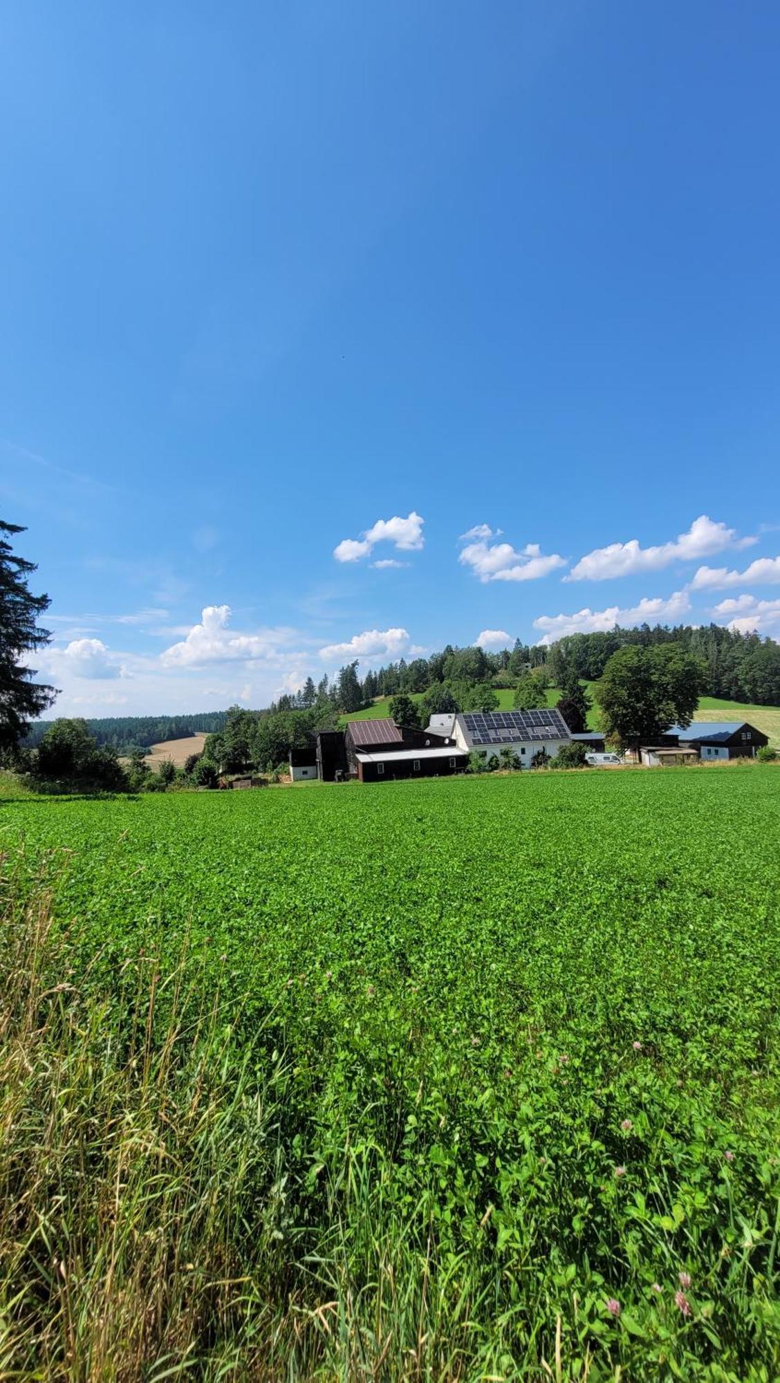 Ruhig Gelegene, Top Moderne Ferienwohnung - Hot Tub Und Sauna Gegen Aufpreis Neuhaus an Der Eger Eksteriør billede